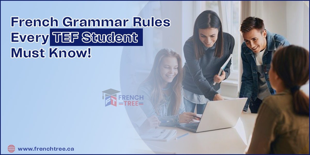 French Grammar Rules Every TEF Student Must Know